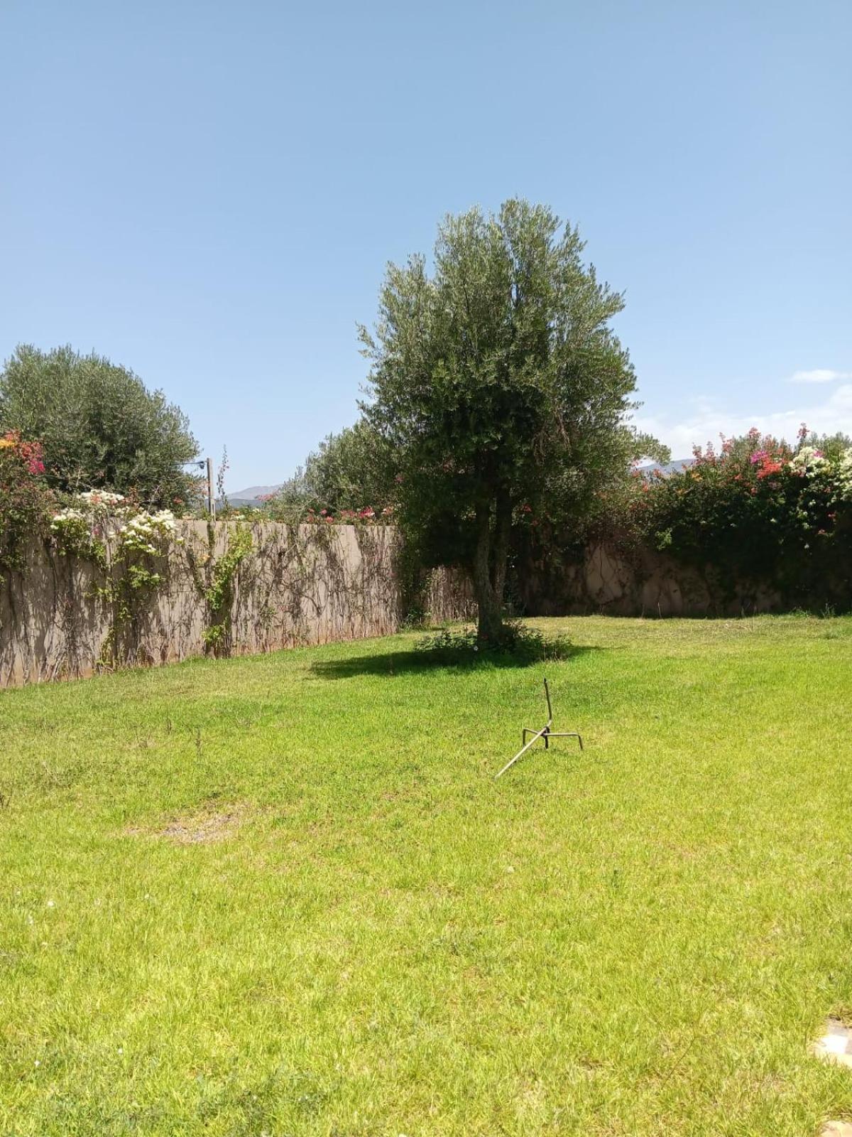 Villa Jamel Marrakech Zac Marrakesh Ngoại thất bức ảnh